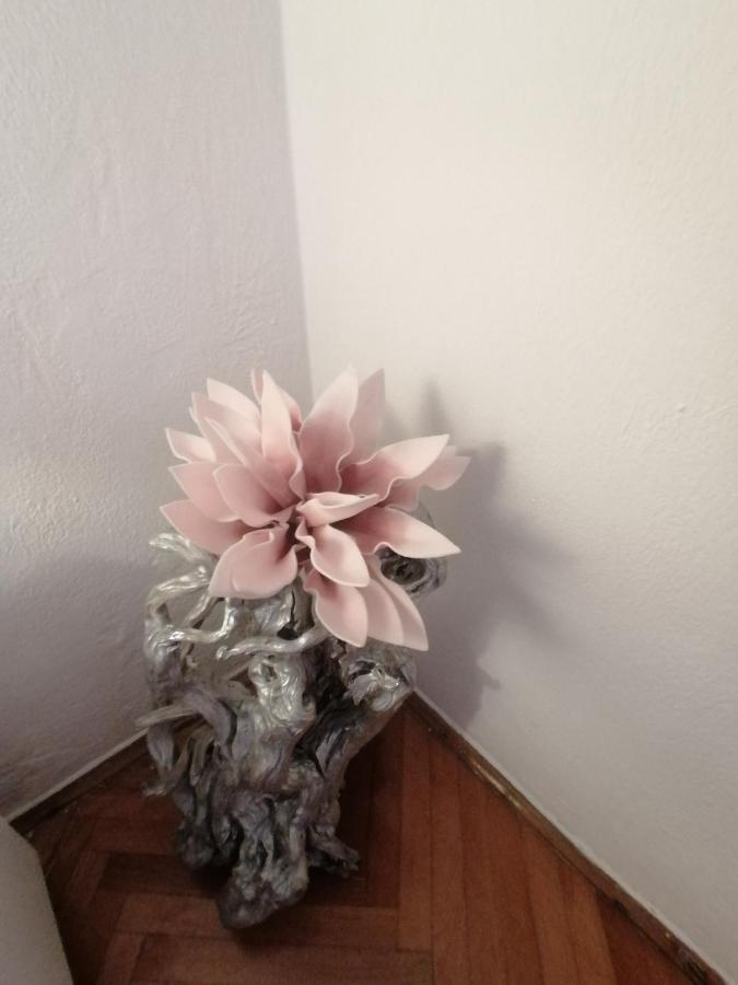 Apartmani Niki Hvar Hvar Town Zewnętrze zdjęcie