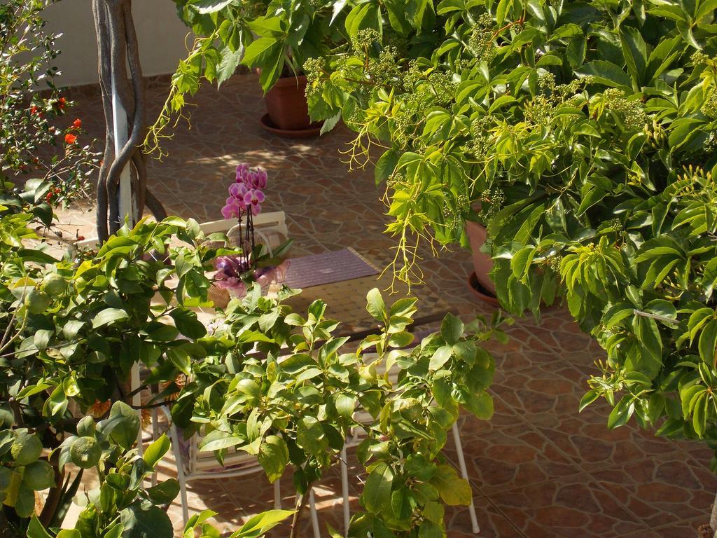 Apartmani Niki Hvar Hvar Town Zewnętrze zdjęcie